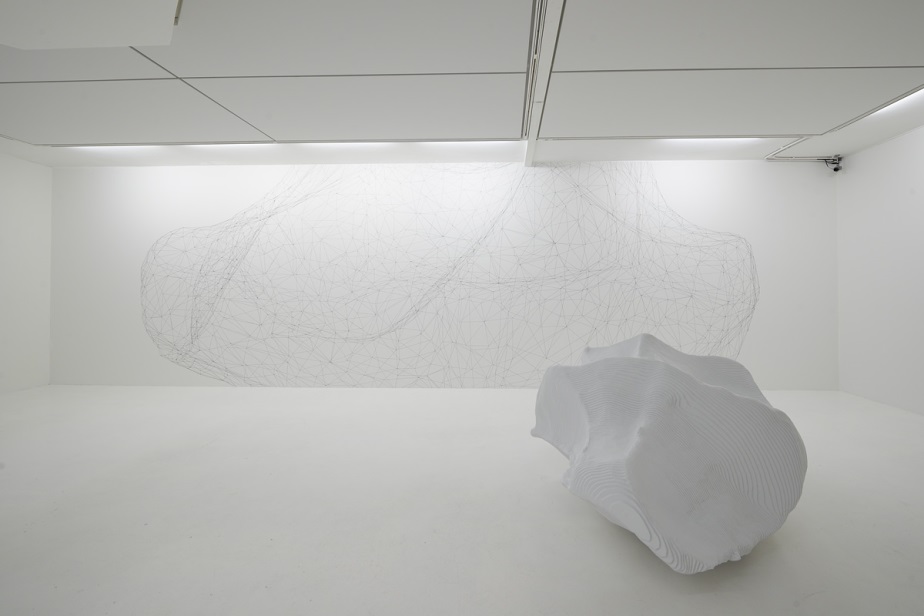Tomas Martišauskis, Creature, 2013, site specific installation, mixed media. Installation view Reykjavik Art Museum, 2013. Photo©Petur Thomsen
